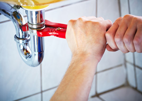 About Forest Grove Plumbers